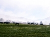 dsc_0038 dsc_0038