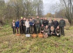 IMG-20251029-WA0008