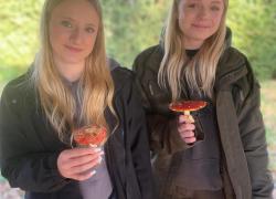 IMG-20251029-WA0020