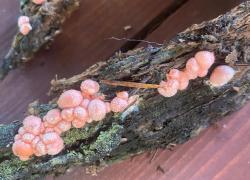 IMG-20251029-WA0023