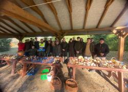 IMG-20251029-WA0026