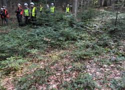 IMG-20260330-WA0031