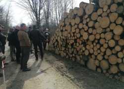 IMG-20260330-WA0033