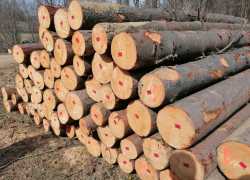 IMG-20260330-WA0037