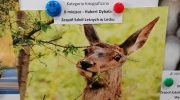 Konkurs foto w Dynowie