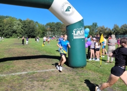 batch_20260916_105317