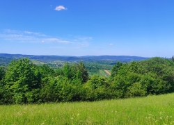 IMG-20260526-WA0021