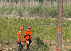 IMG-20260418-WA0003