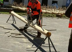 IMG-20260418-WA0030