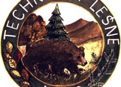 logo-tl