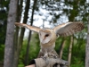 dsc_0940 dsc_0940