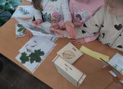 IMG-20251211-WA0016