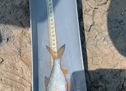 IMG_20260610_120638-Copy