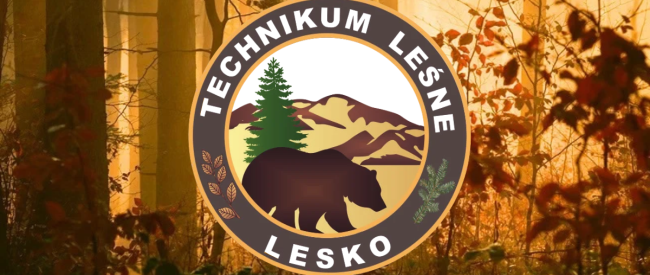 Zdjęcie do artykułu: Wybory Przewodniczącego SU w ZSL Lesko